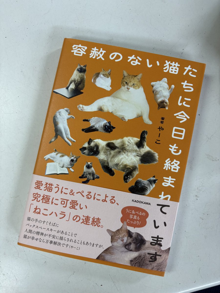 みんなのラジコンコース Ridgefield サーキット tweet media