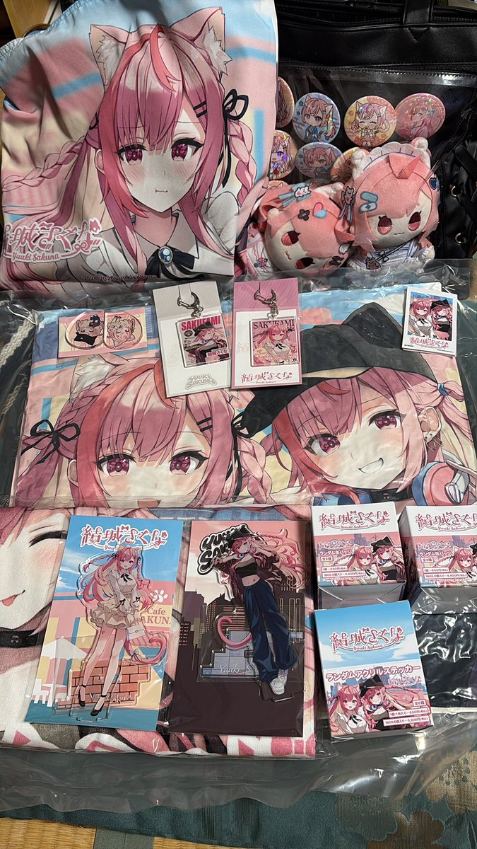 テリア🎀🐾⚓️🧪 tweet media