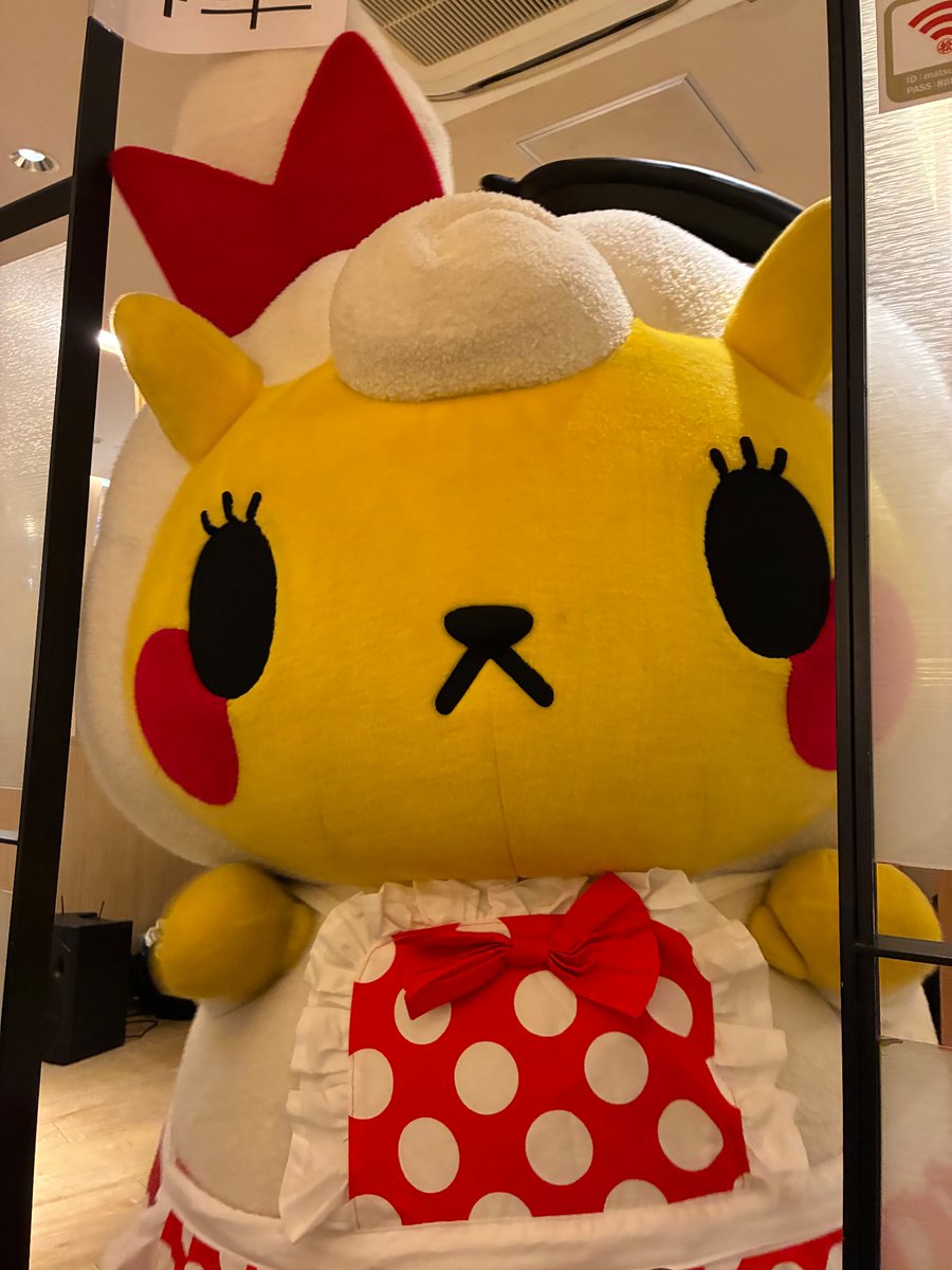ぴょこ丸🐤 (@yottaOO) / Posts / X