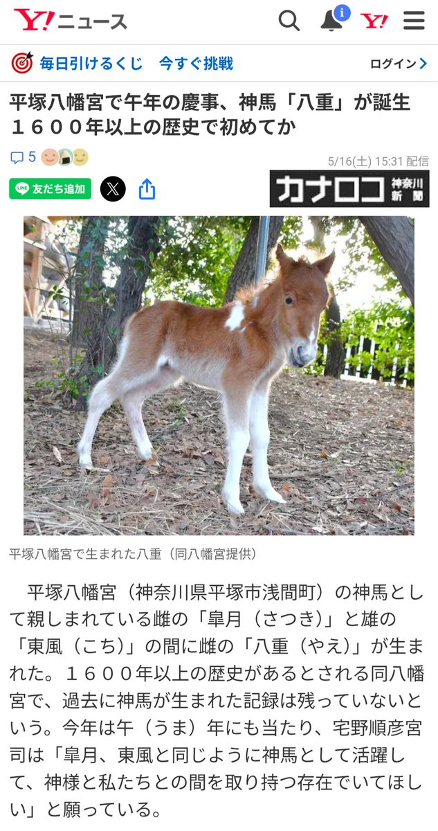 SeptrabbitBlue's tweet photo. Don't tell me you think Yahoo JP news is fake. 
https://t.co/Amj3RdOlWO https://t.co/2Qqza0Wv3q