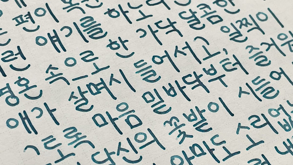 보키 tweet media