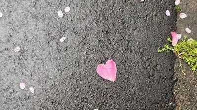 BlueRose007007's tweet photo. #深夜の二時間作詩
　「透明人間」

君に　気付かれぬよう

足元に散らす

一つ　二つ…

愛の花 https://t.co/evLzWHkMXk