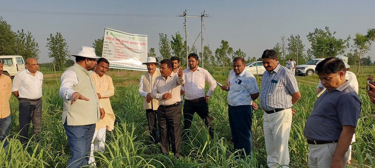 icarindia's tweet photo. Dr. M. L. Jat, Secretary, DARE &amp; DG, ICAR, reviewed sugarcane-groundnut intercropping in Meerut and emphasized science-led expansion of oilseed cultivation for India’s edible oil self-reliance.

#icar @ChouhanShivraj @PIB_India @AgriGoI https://t.co/8X08hELDLy