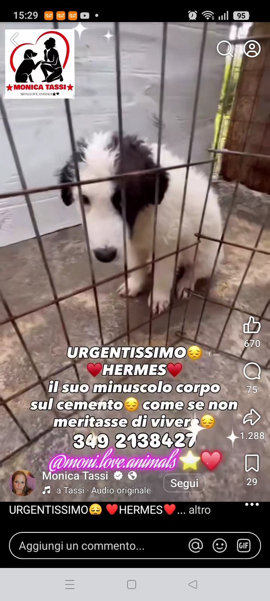 Vardiello2's tweet photo. https://t.co/7GgFPgpia5 https://t.co/6N1VxdI1wd