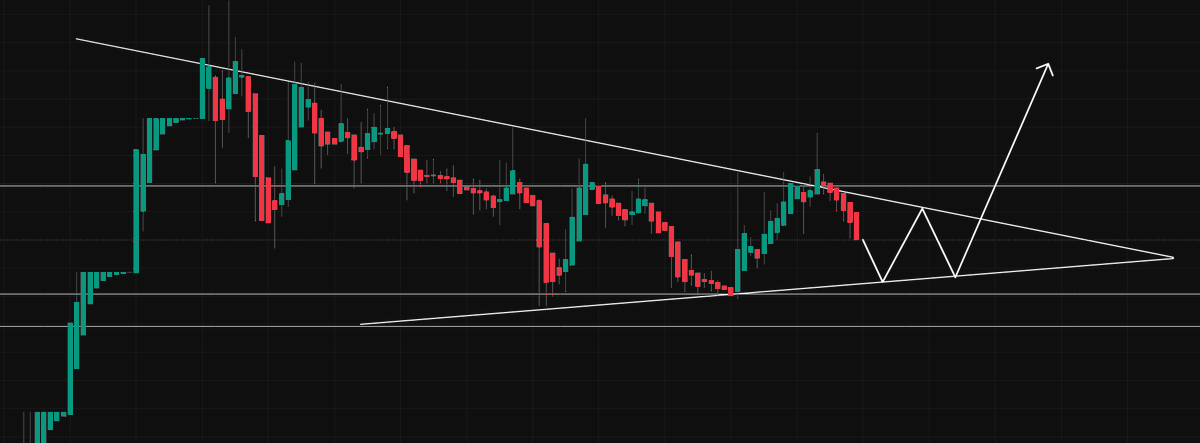 "Better Thinking Better Trading" - Seray tweet media