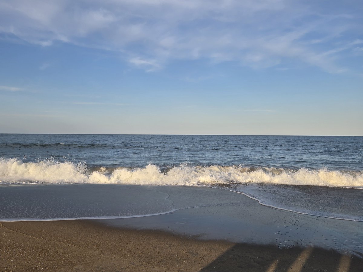 DSBDKOrange's tweet photo. Virginia Beach 757 https://t.co/tnICCddaqI