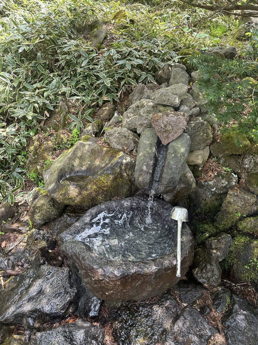 blocaus00's tweet photo. Avui Trekking pel Parc Nacional de Hallasan (centre de l'illa de Jeju) 
Patrimoni de la Humanitat per la #UNESCO. https://t.co/KHqgqbmoJt