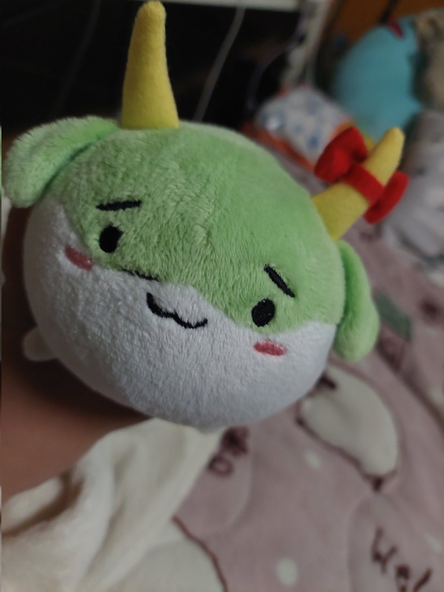 夏藤 柚樹 tweet media