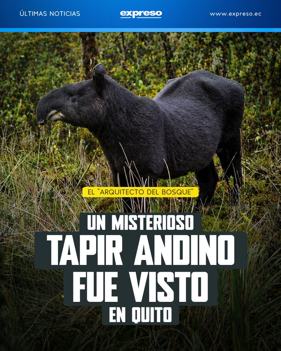 Diario Expreso tweet media