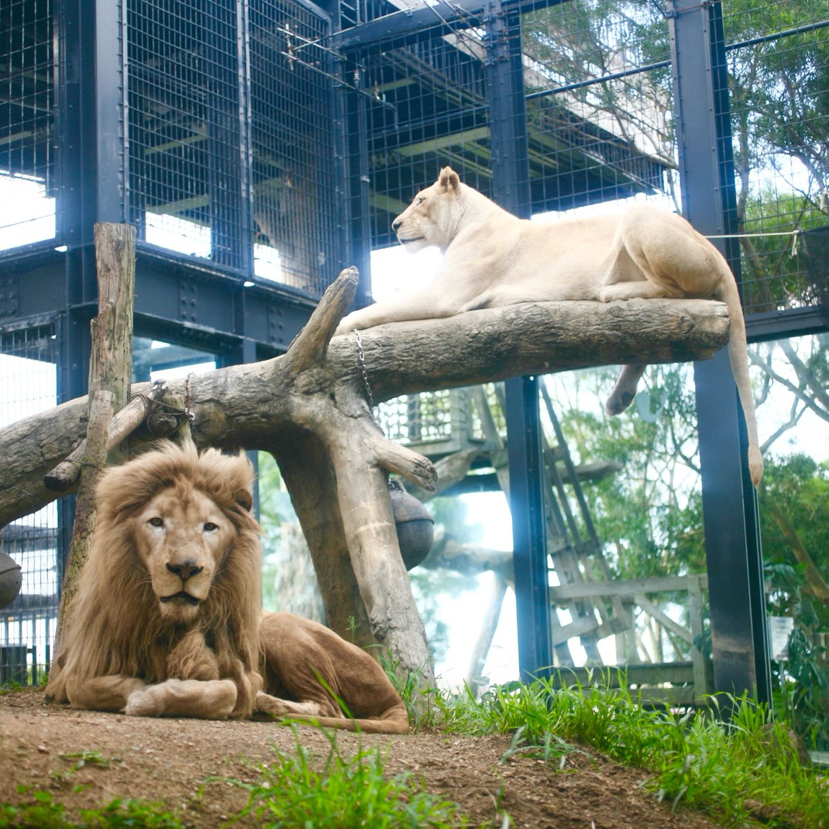 new_satan's tweet photo. こどもの国🦒🦁🐻 https://t.co/JioGQUx7fi