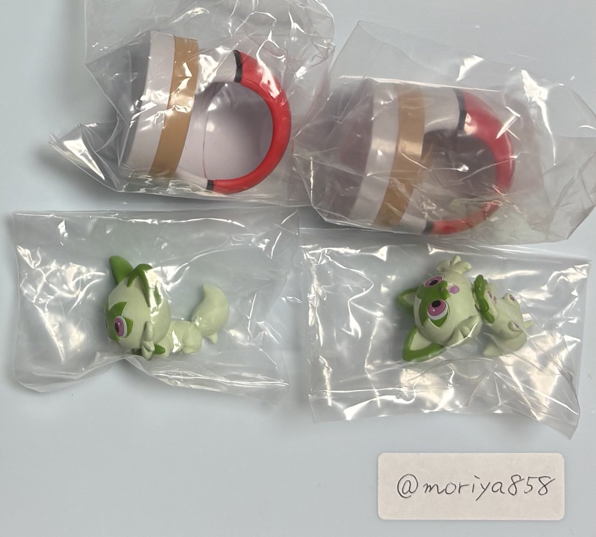 守屋 tweet media