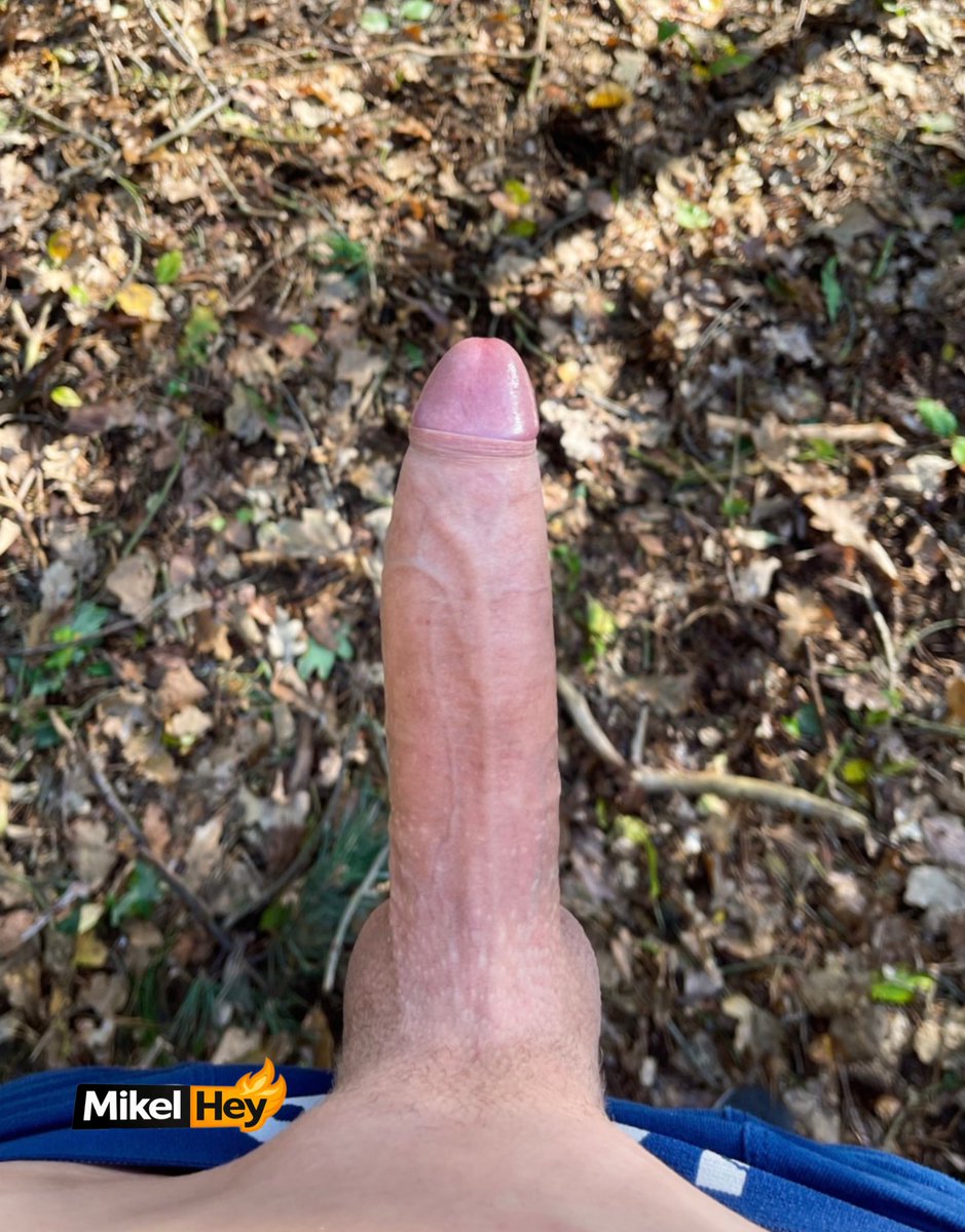 hey_mikel's tweet photo. Meine 20cm im Wald. Was willst du anstellen? ☺️ https://t.co/XHxc8ZHLdv
