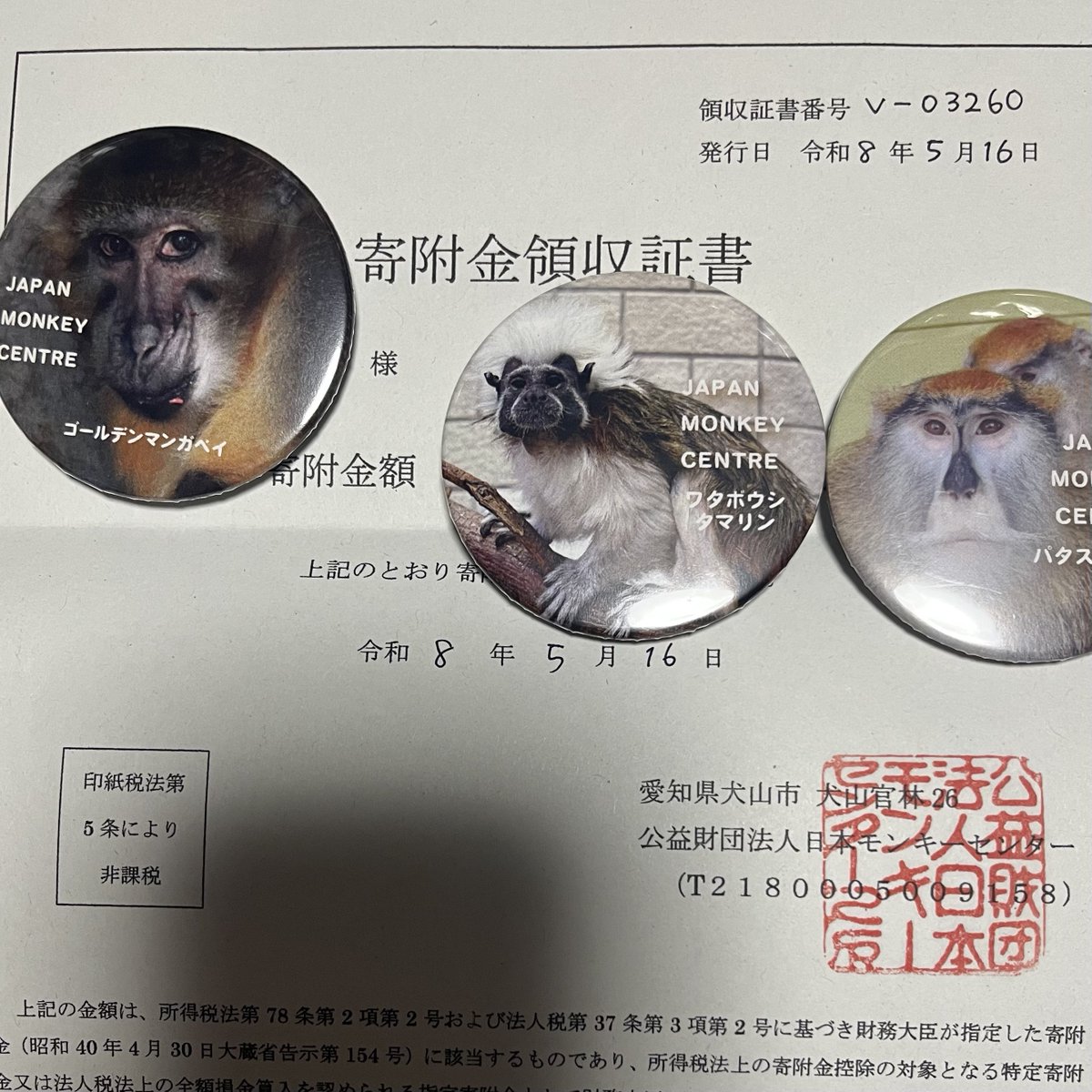 lemurlenga's tweet photo. 今日はTシャツの納品が1日だけ遅れて到着してしまった方へのお渡しと、
なかなか伺えないので、
お先に、先日の「猿日」での売上の一部を、日本モンキーセンターさんへ寄附させていただきました。お買い上げくださった皆さま、本当にありがとうございました🌿
#猿日 https://t.co/j6G6Nr8P6K