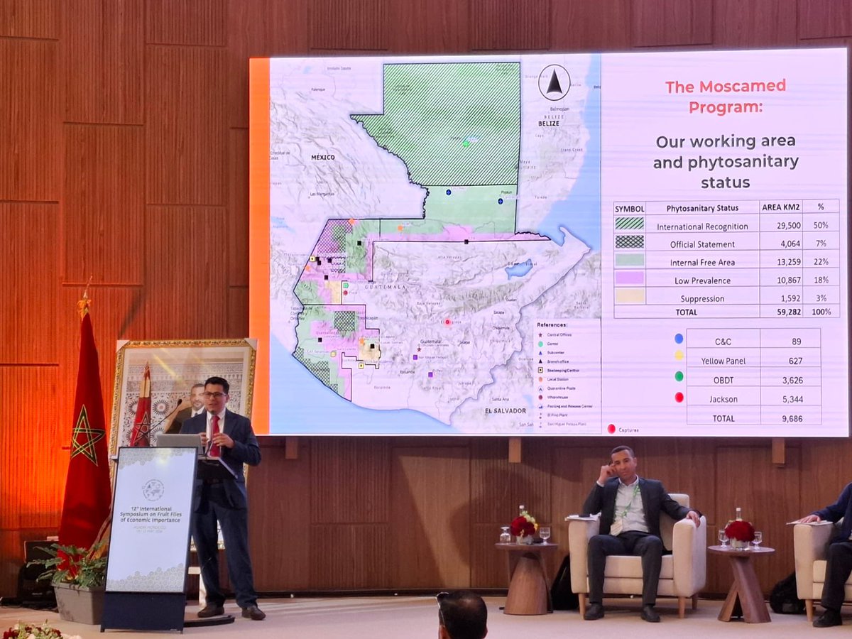 MOSCAMEDGT's tweet photo. 🌏 Participamos en el  12.º  Simposio Internacional sobre Moscas de la Fruta de Importancia Económica realizado en la ciudad de Agadir, Marruecos.

📣 Compartimos experiencias regionales sobre el combate de la plaga 🪰 y el compromiso con la innovación y la protección agrícola. https://t.co/JbD8cSmbsi