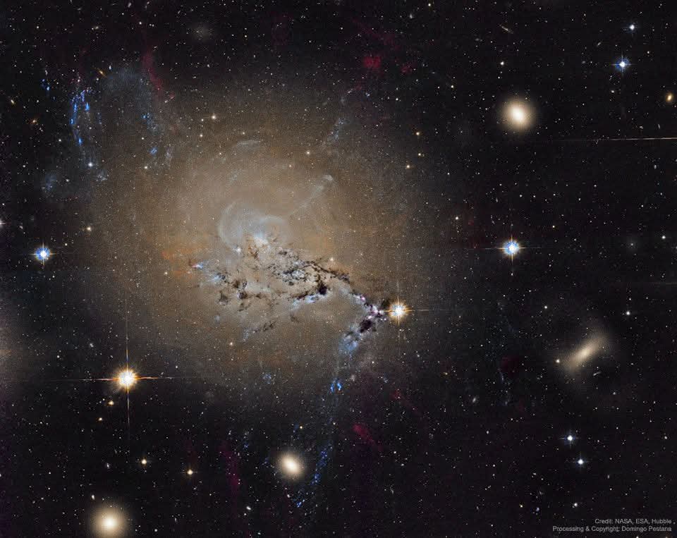 Black Hole tweet media