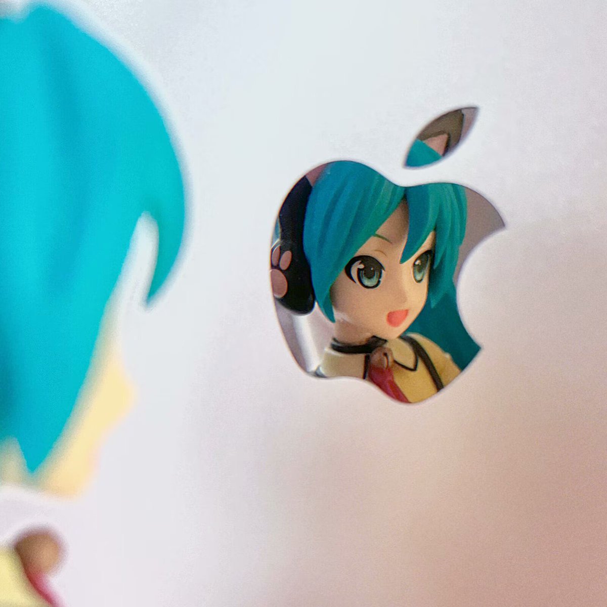 momoωo (っ ̯ -｡) tweet media