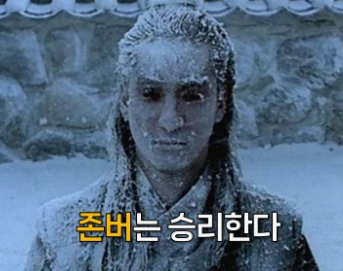 머니캣 tweet media