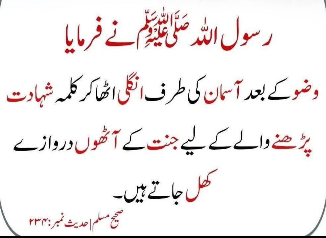DMdrali's tweet photo. https://t.co/9g0Xeh51co