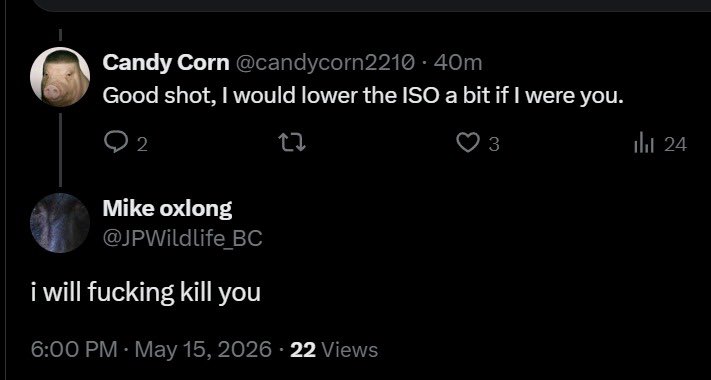 Nateinthewild | Nate Luebbe tweet media