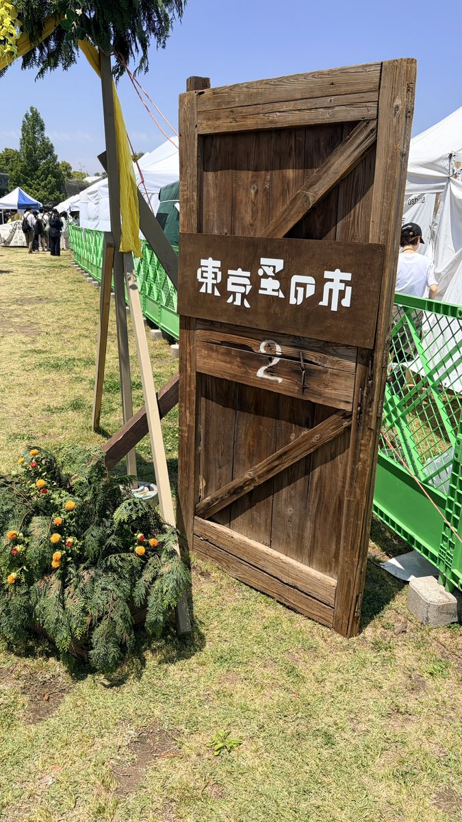 しょいむ🐬 tweet media