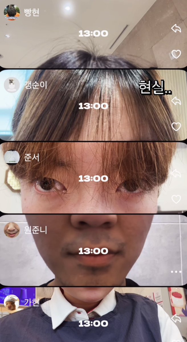 토마토 tweet media