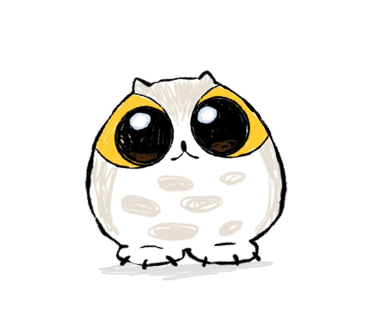 Is this an owl or a cat?