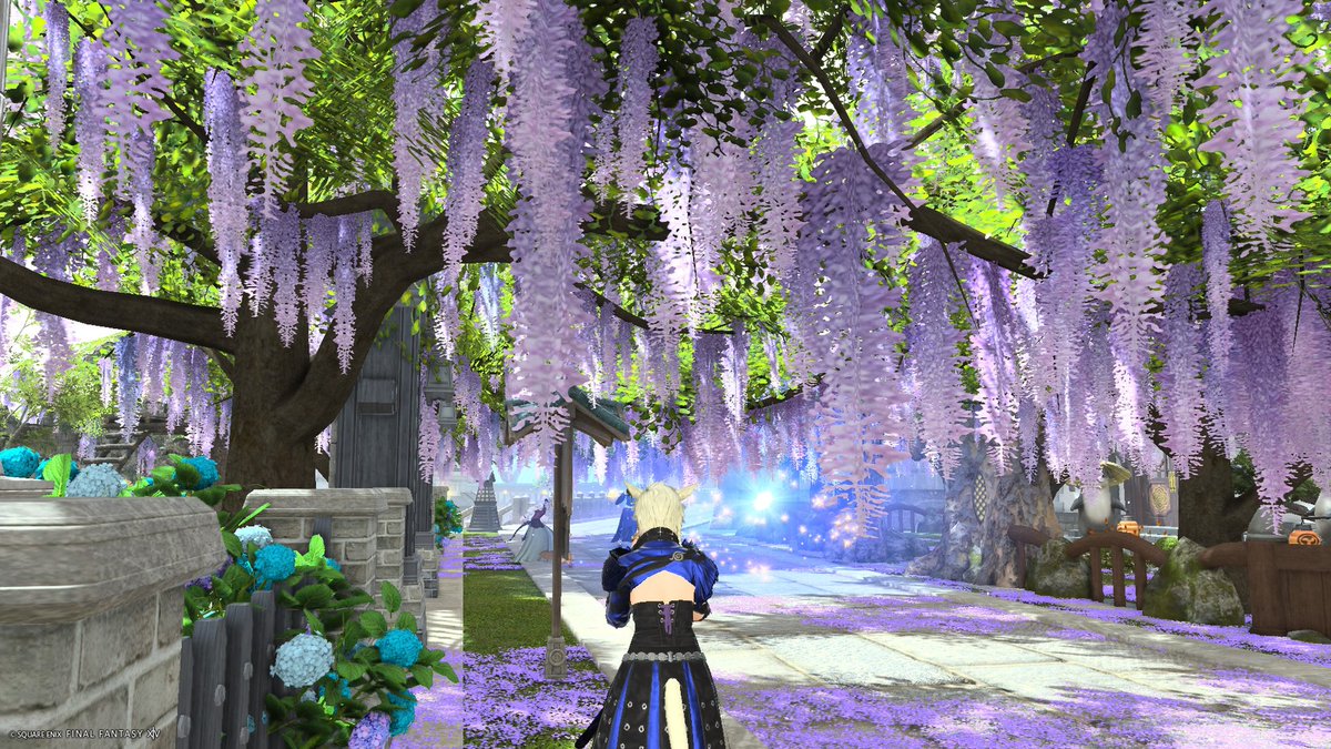 Ruu_ff14_cat tweet media