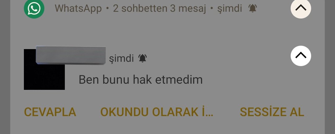 selino tweet media