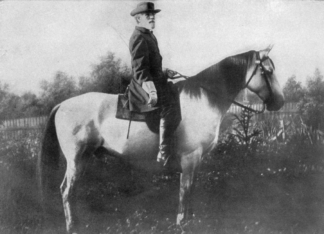 Ghost tweet media