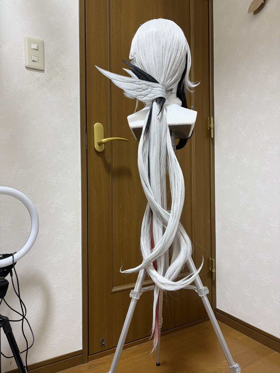 ウィッグセット1からやり直したのでまえよりましかと、、 ひとつ問題が