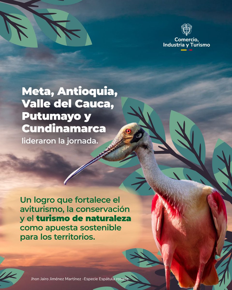 MinComercio Colombia tweet media