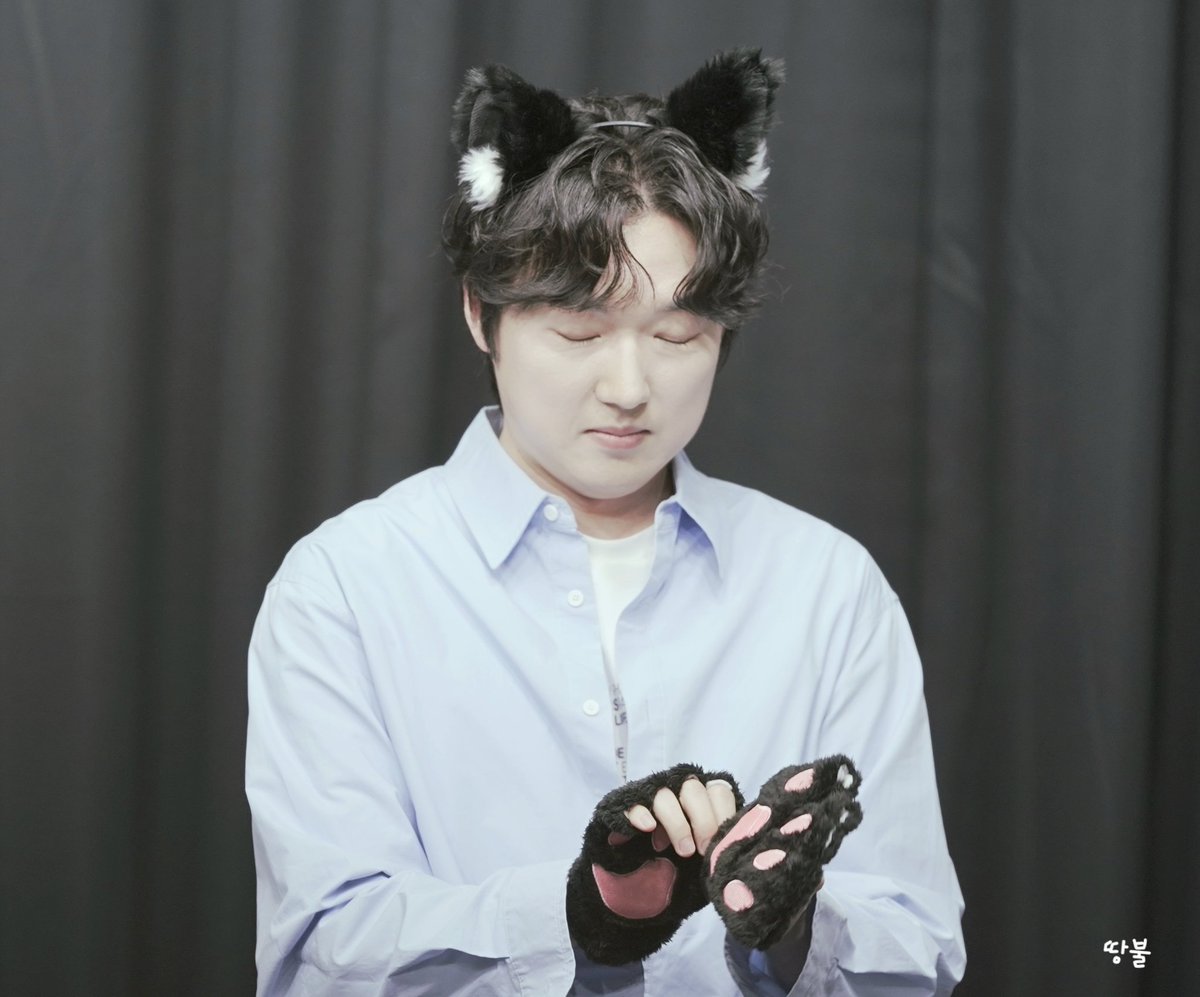 땅불바람물포레🌲🌟 tweet media