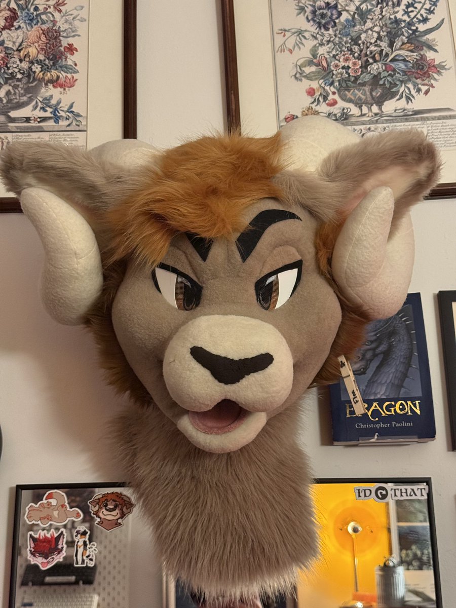 Sam the Ram 🐏 tweet media