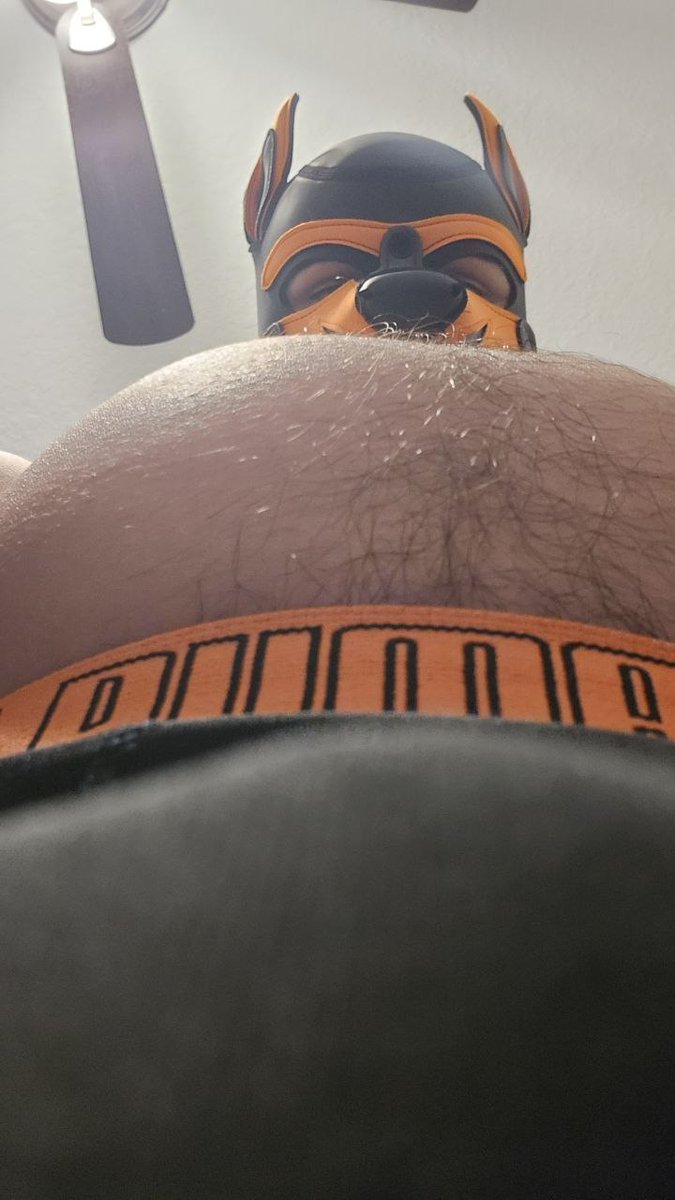 Bob Pupperson tweet media