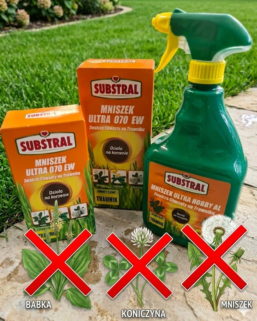 BIATOM_pl's tweet photo. 🚨 Chwasty przejmują Twój trawnik? 🚨
Mniszek, koniczyna i babka nie mają szans! 🌱💪
✔️ Mniszek
✔️ Starane
✔️ Chwastox

🧪 koncentraty
🚿 gotowe opryski RTU
🌿 preparaty chemiczne i naturalne
🏡 Odwiedź nasz sklep lub zamów online! 📦
https://t.co/7Uka2SZbmP https://t.co/ie7nu1xDbp