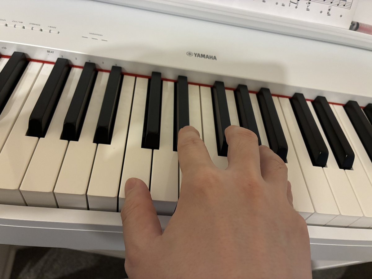 tsuki_garden's tweet photo. 今日はジムオフなのでがっつりピアノ練習した

あと過去に弾けてた曲も忘れないよう弾き直してる https://t.co/LPGM6bWgHd