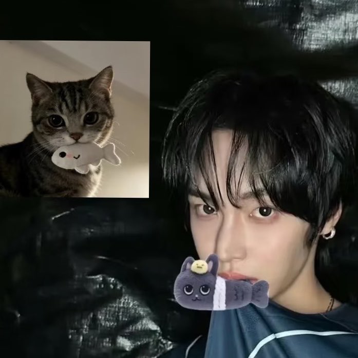 tonyangdeok tweet media