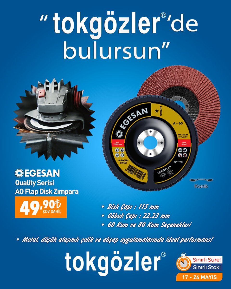 Egesan 115x22.23 Quality Serisi AO Flap Disk Zımpara Çeşitleri ile