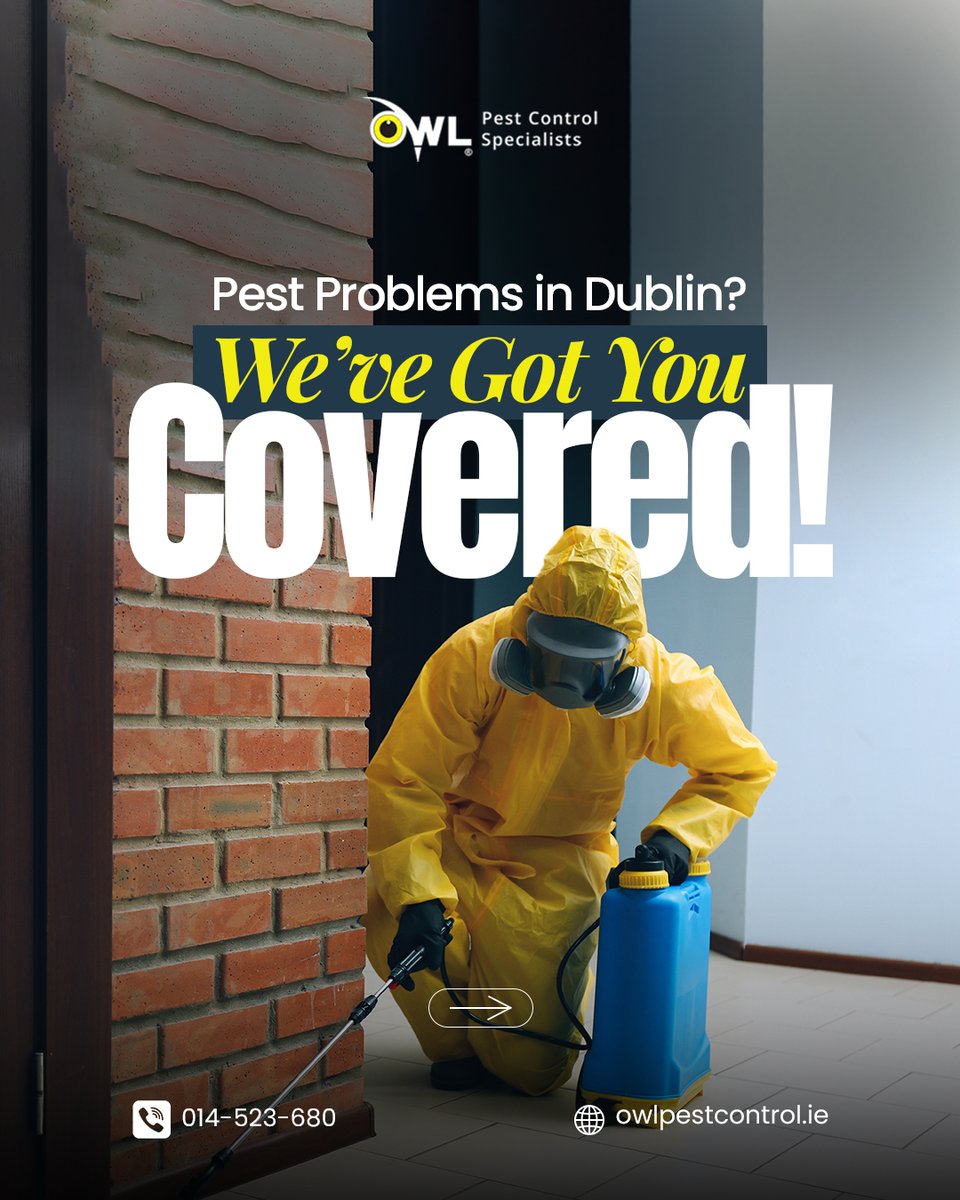 Owl Pest Control Dublin tweet media