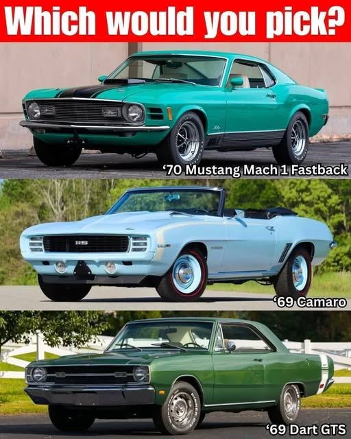 CarburetorCraze🇱🇷 tweet media