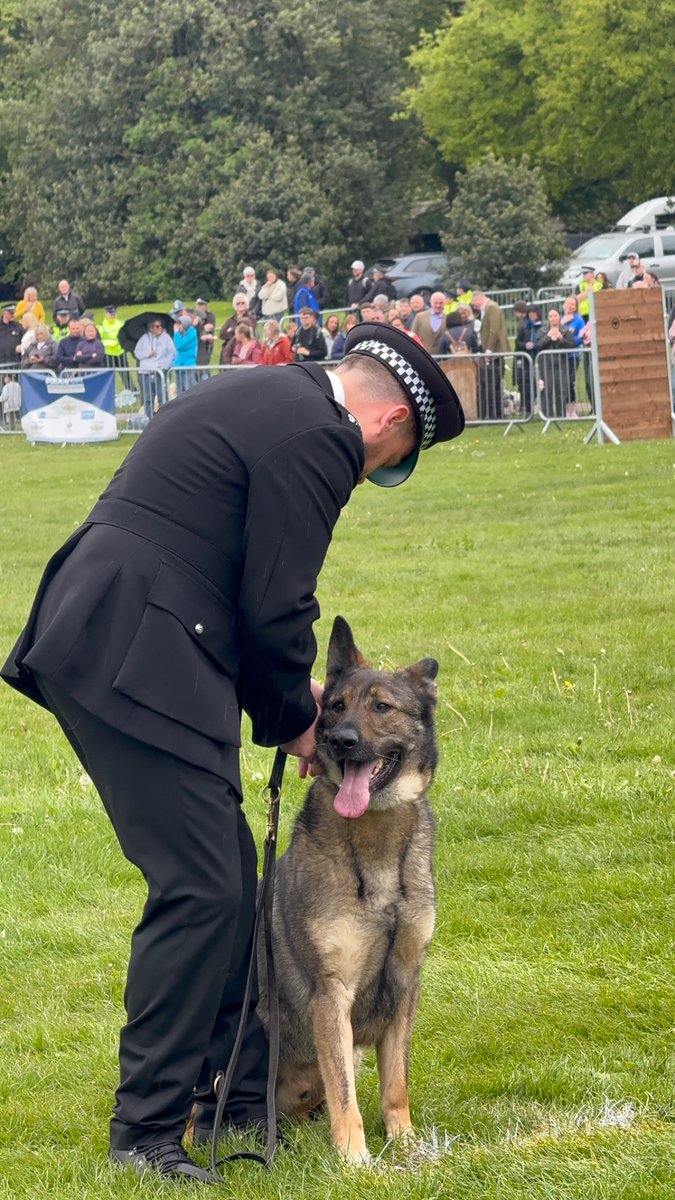 PoliceDogTrials's tweet photo. PC McGarry &amp; PD Kim from @PoliceScotland are our final competitors today! Did we save the best ‘til last? 🤔 https://t.co/egS7H0hZ07