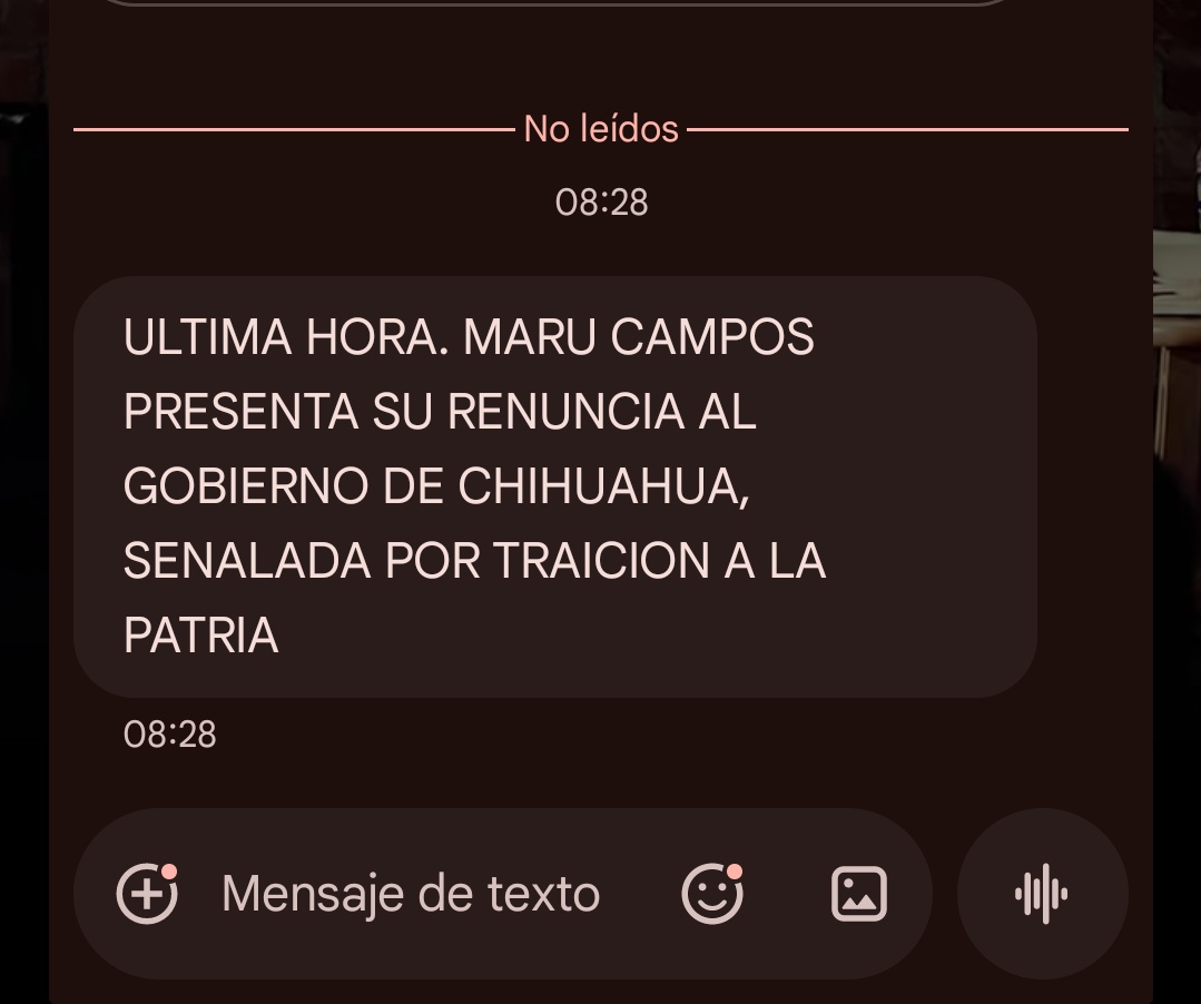 QuieroWaffless's tweet photo. Andan bien desesperados los morenacos con sus campañas contra @MaruCampos_G https://t.co/RI9RrAkxYB