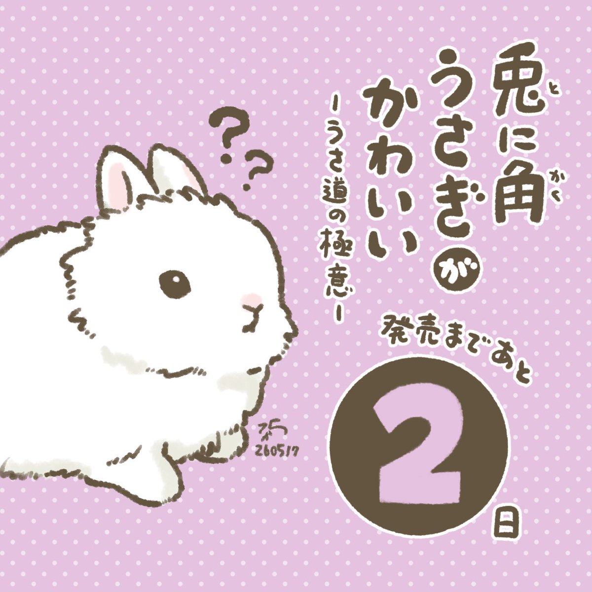 うさぎさん専用ページ 発売直前カウントダウン中！うさぎさんが家にいてお世話をさせて