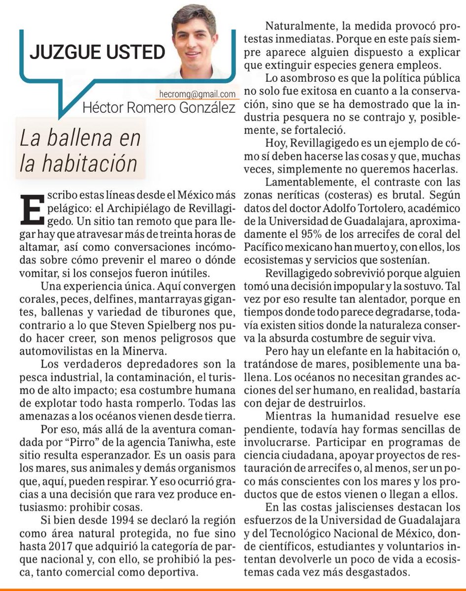 hecromg's tweet photo. Visité el México más pelágico: el Archipiélago de Revillagigedo. Se trata del punto más remoto del territorio nacional. 

Lo que descubrimos me voló la cabeza. Escribí sobre esto para el @informador.

https://t.co/ubgouYlUtQ

También les dejó unas fotos que no hacen justicia 🤿 https://t.co/R7Mbf6QEjU