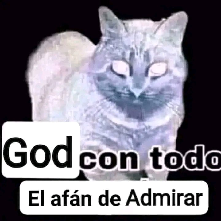El Milaneso tweet media