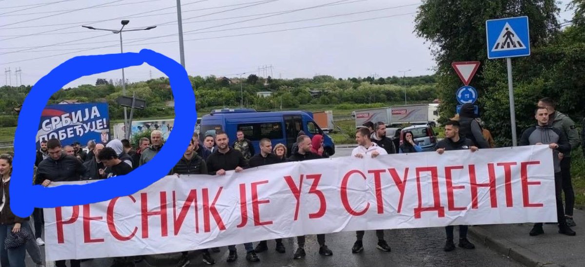 M.Despotovic tweet media