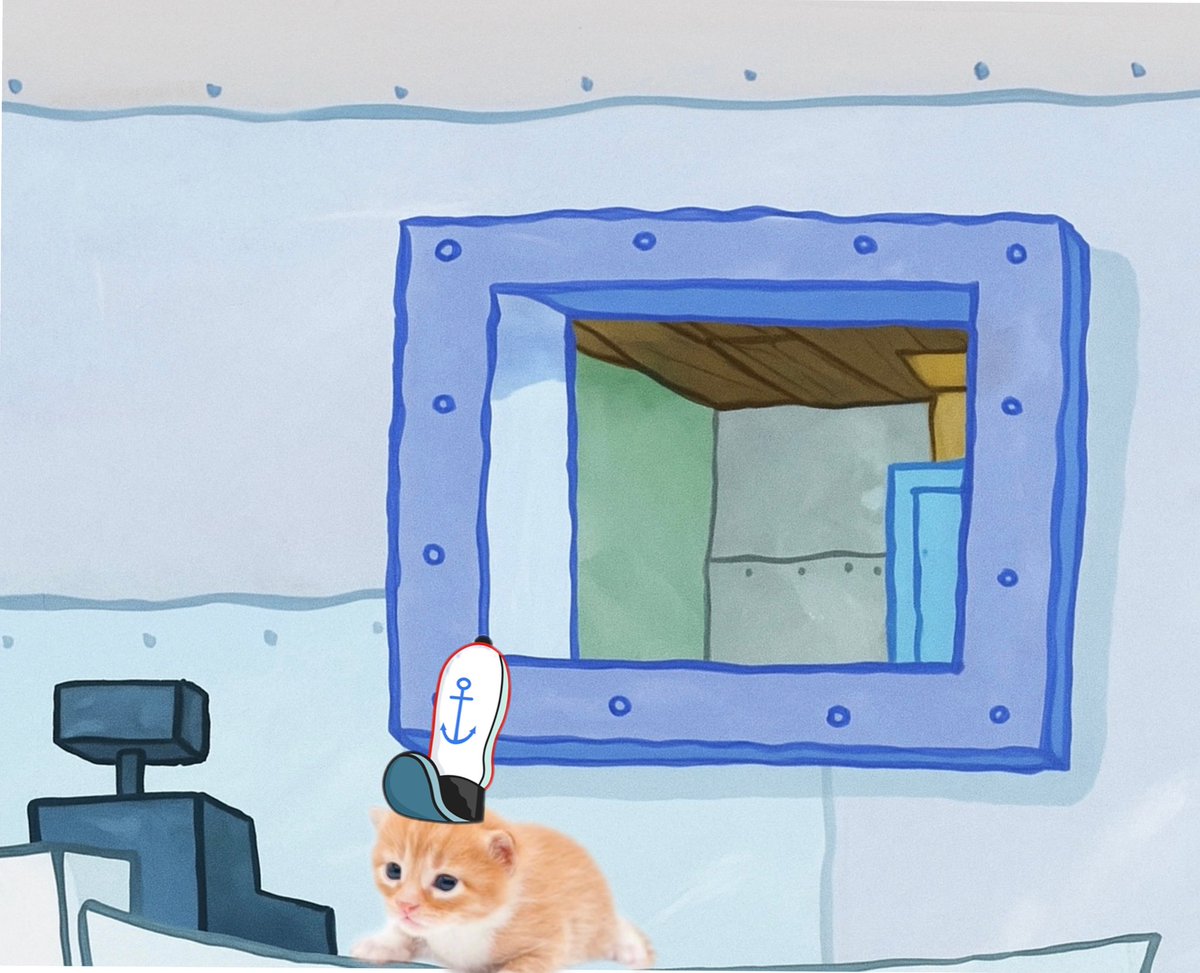 No Context Cats tweet media