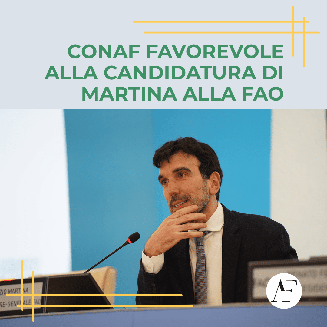 @CONAF tweet media