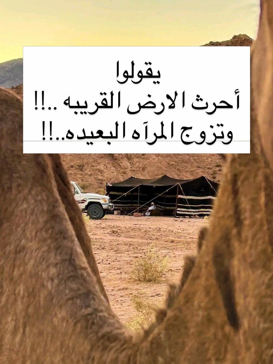 عبدالله البراك ابومحمد tweet media