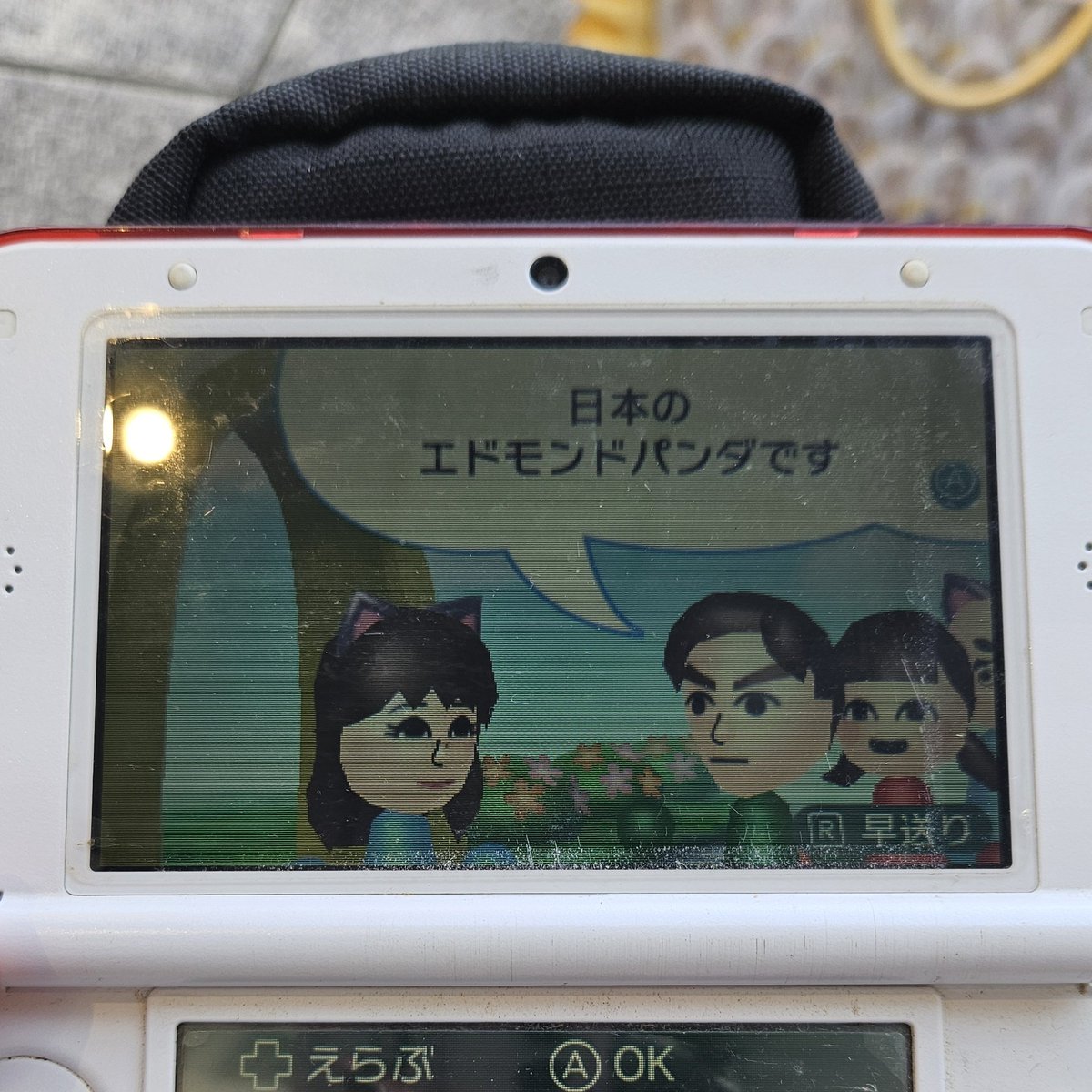 枝ちゃん tweet media